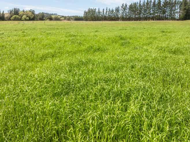 69 High Street, Hawarden