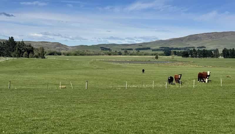 387 Kyeburn-Hyde Road, Kyeburn