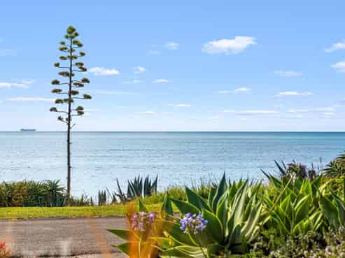 202 Whirinaki Road, Bay View