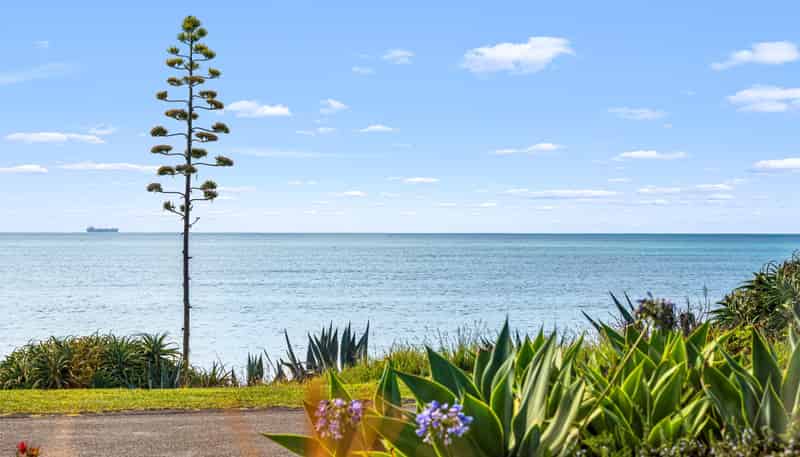 202 Whirinaki Road, Bay View