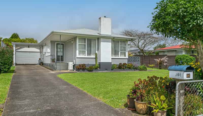 26 Green Avenue, Levin
