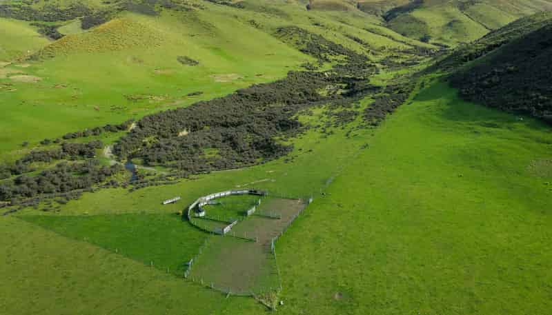  Morrisons-Kyeburn Road, Kyeburn