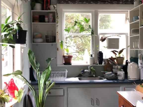 58C Norway St (Bot), Aro Valley