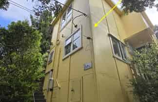 58C Norway St (Bot), Aro Valley