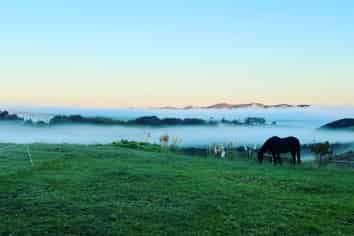 852 Oneriri Road, Kaiwaka