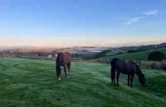 852 Oneriri Road, Kaiwaka