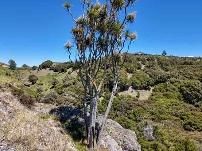 16 Linden Close, Eskdale