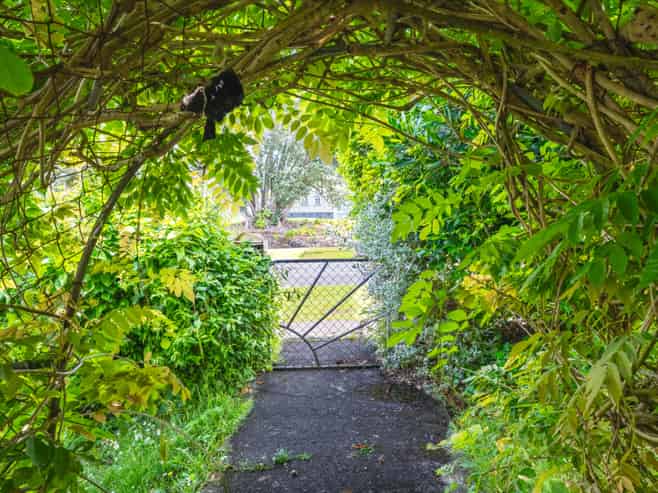 59 Hokianga Road, Dargaville