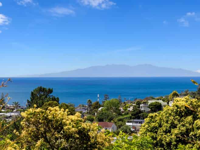 555B East Coast Road, Browns Bay