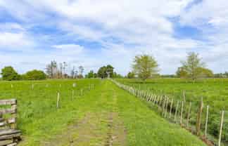 4/11 Fencourt Road, Cambridge