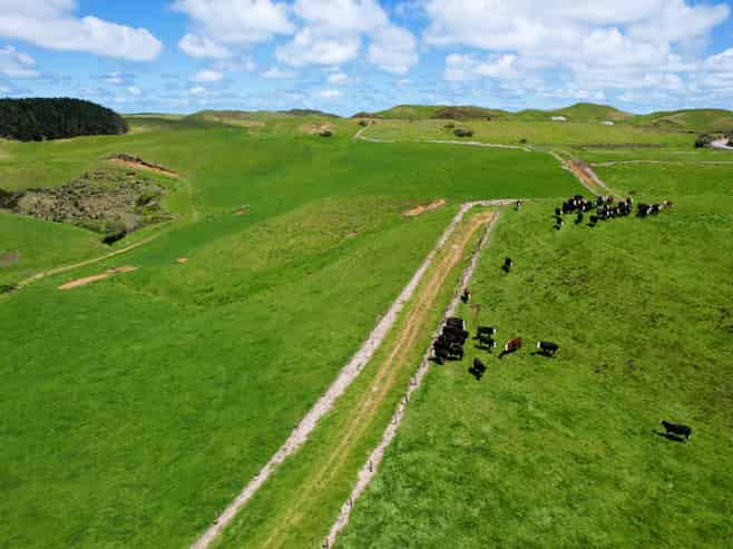 1090 Te Maire Road, Dargaville