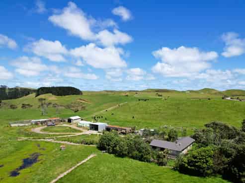 1090 Te Maire Road, Dargaville