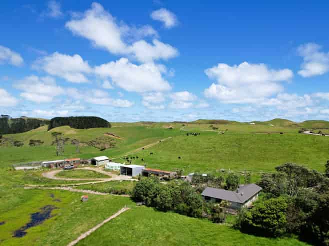 1090 Te Maire Road, Dargaville