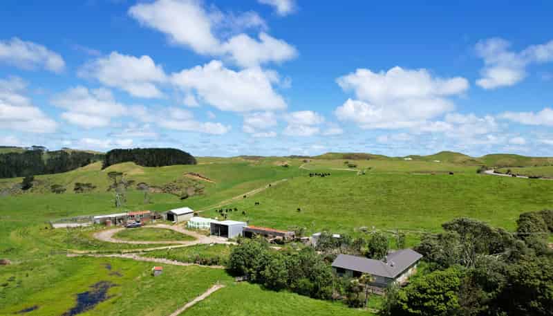 1090 Te Maire Road, Dargaville