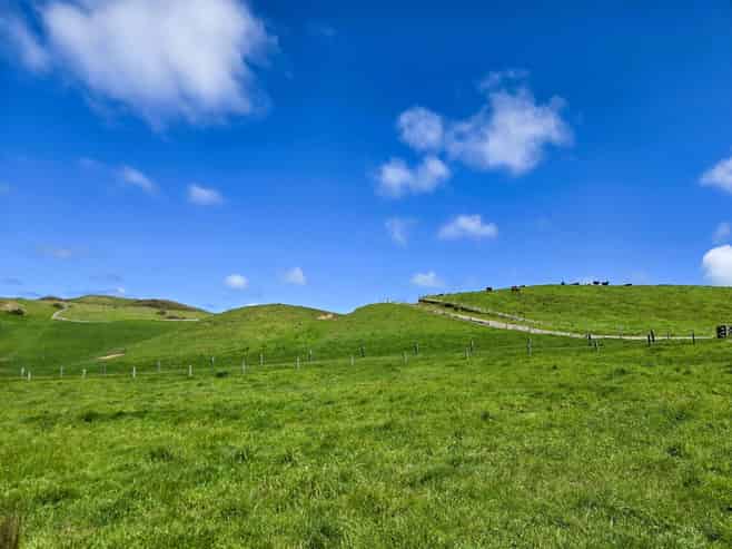 1090 Te Maire Road, Dargaville