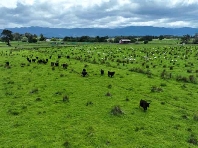  Duddings Line, Tauherenikau