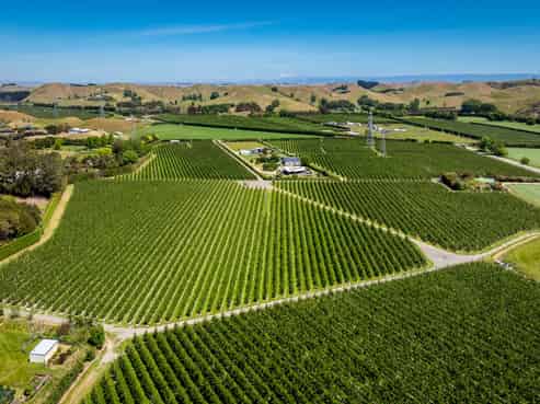 490 Puketitiri Road, Puketapu, Napier South