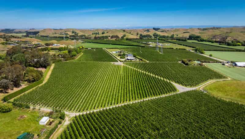 490 Puketitiri Road, Puketapu, Napier South
