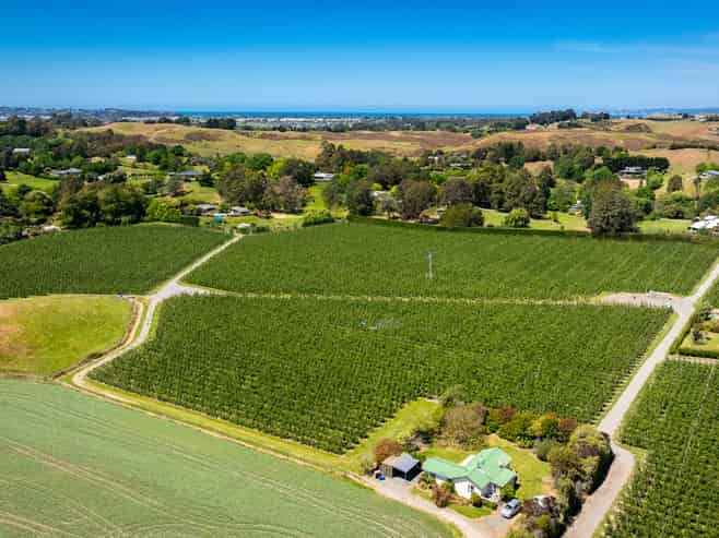 490 Puketitiri Road, Puketapu, Napier South