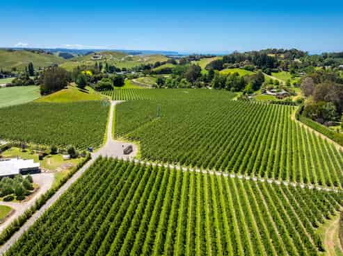 490 Puketitiri Road, Puketapu, Napier South