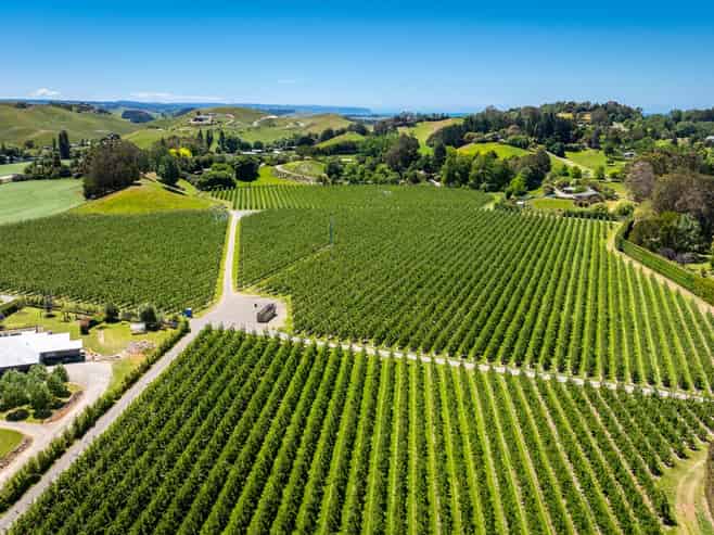 490 Puketitiri Road, Puketapu, Napier South