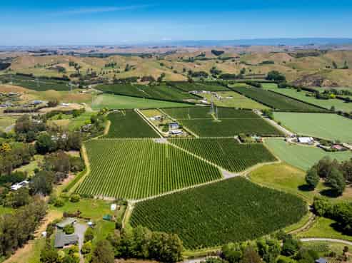 490 Puketitiri Road, Puketapu, Napier South