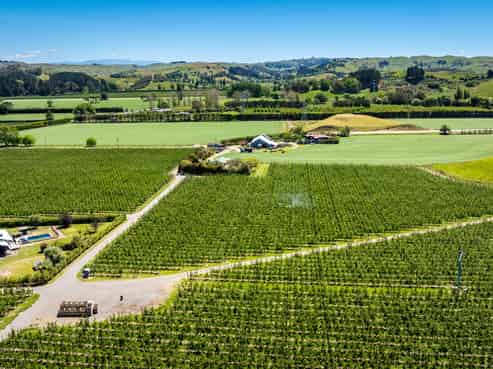 490 Puketitiri Road, Puketapu, Napier South