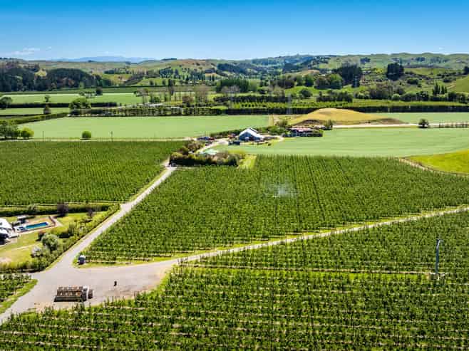 490 Puketitiri Road, Puketapu, Napier South