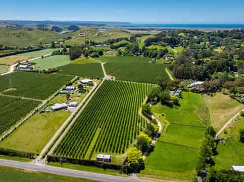 490 Puketitiri Road, Puketapu, Napier South