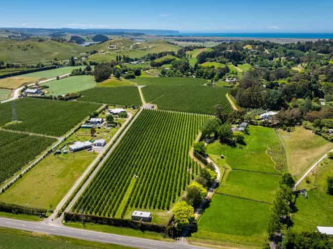 490 Puketitiri Road, Puketapu, Napier South