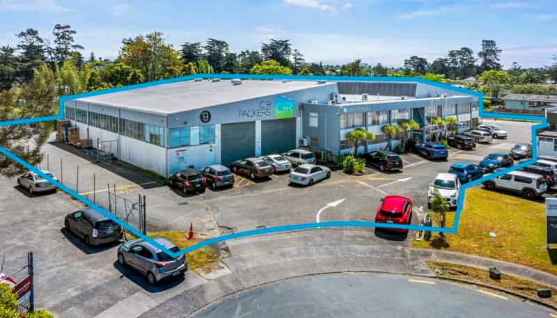 9 Canon Place, Pakuranga