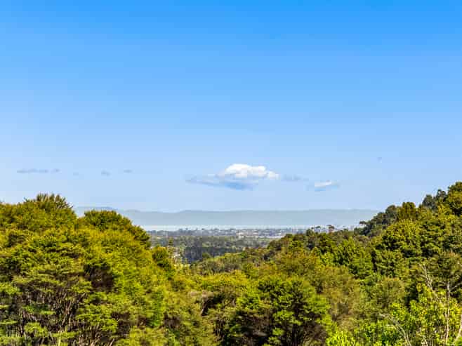 78 Judge Richardson Drive, Drury