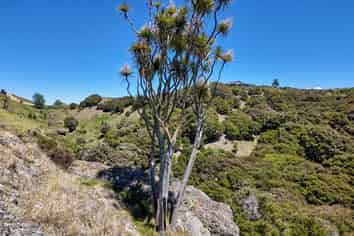 16 Linden Close, Eskdale