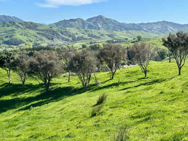 6 DP 40977/ Gaddums Hill Road, Outer Kaiti