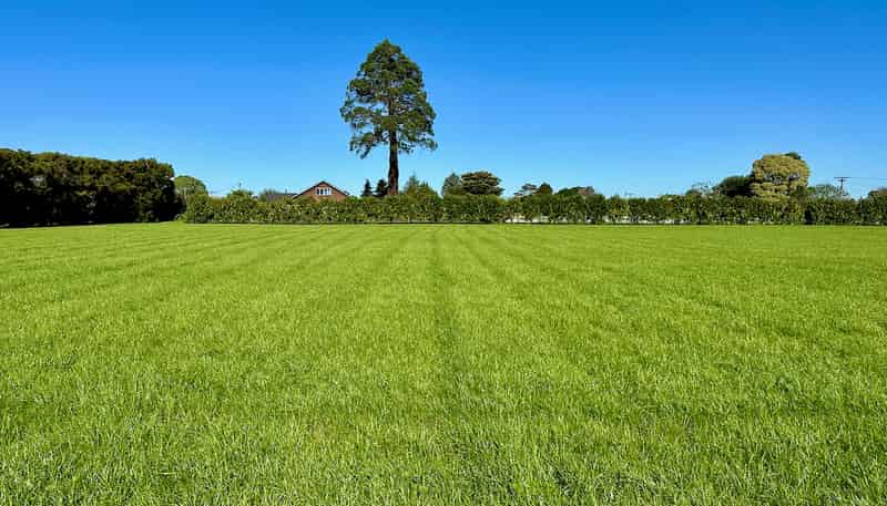 Lots 2, 3  Toru Street, Makaraka