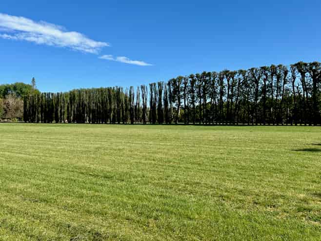 Lots 2, 3  Toru Street, Makaraka