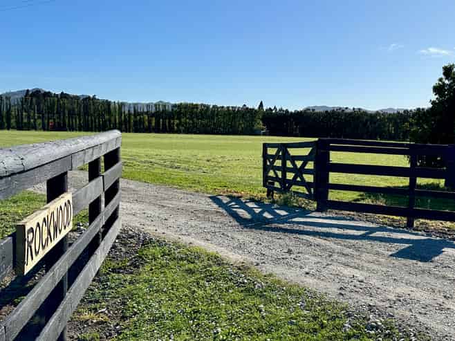 Lots 2, 3  Toru Street, Makaraka