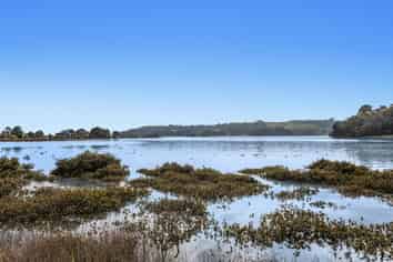 93 Loop Road, Opotiki and Surrounds