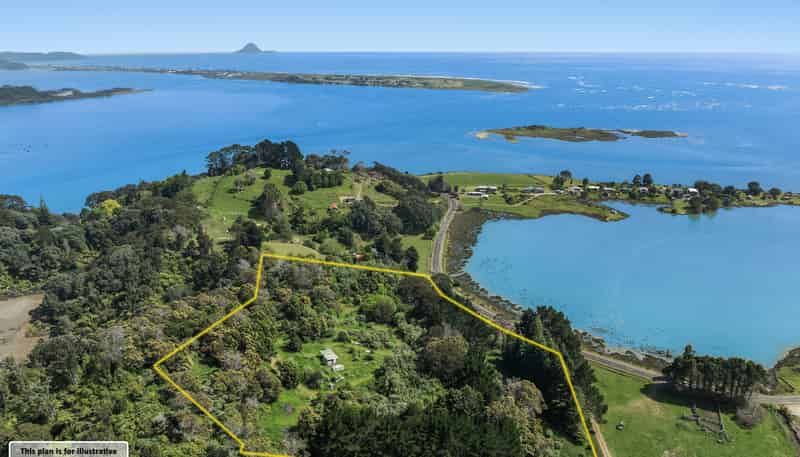 93 Loop Road, Opotiki and Surrounds