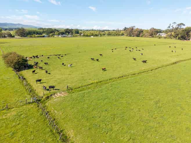  Broomfield Road, Woodville