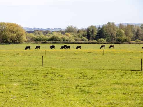  Broomfield Road, Woodville