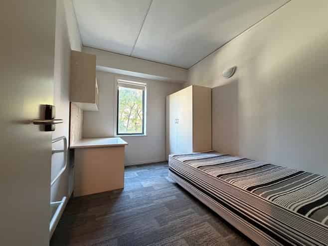 4H/8 Mount Street, Auckland Central