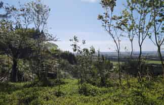 353 Pretoria Road, Shannon