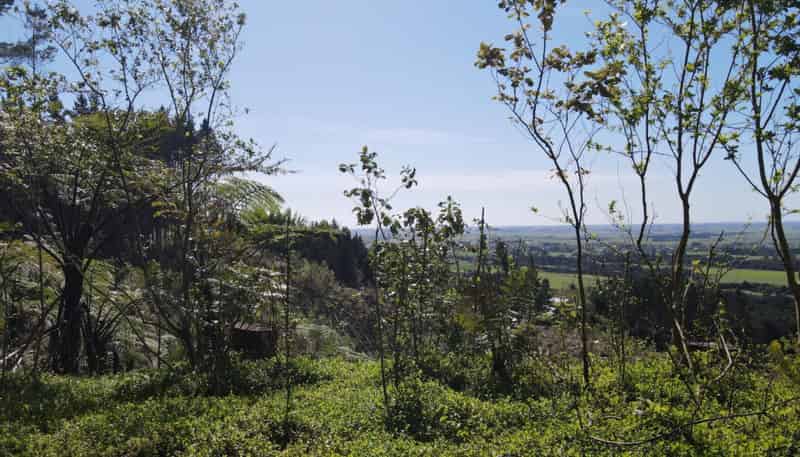 353 Pretoria Road, Shannon