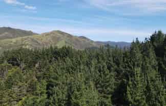 353 Pretoria Road, Shannon