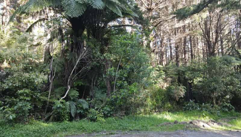 353 Pretoria Road, Shannon