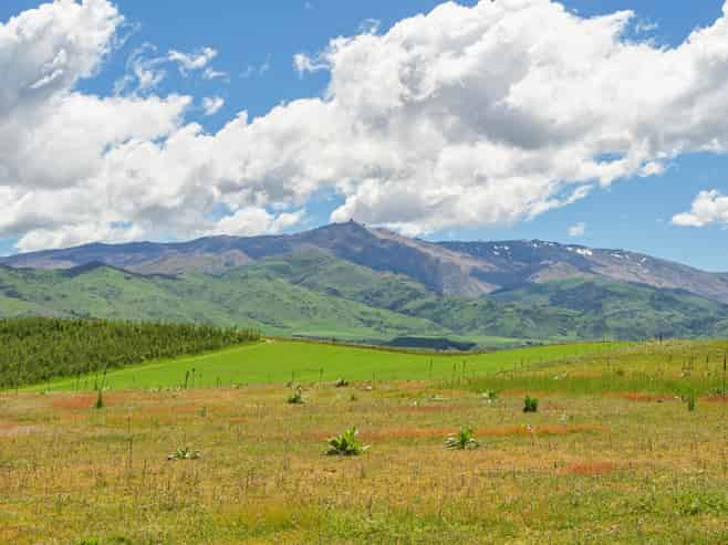 25 Northridge Road, Waikerikeri, Alexandra