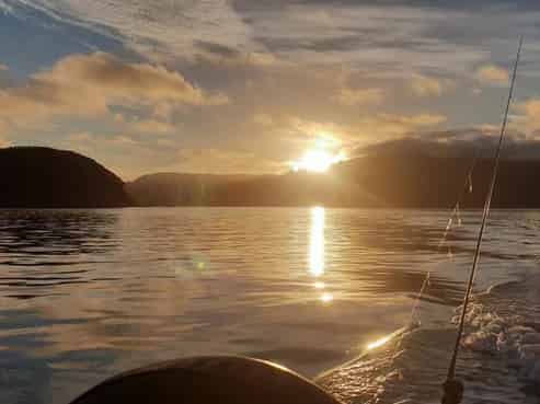 Hook into a proven Coromandel charter business