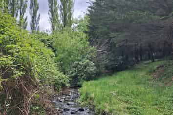 240 Sladdens Bush Road, Coopers Creek