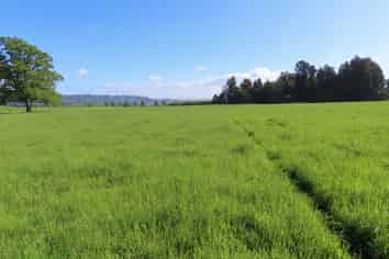 Lot 3 Mirfins Road, Reefton